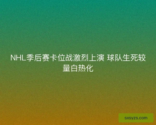 NHL季后赛卡位战激烈上演 球队生死较量白热化 NHL季后赛卡位战激烈上演 球队生死较量白热化