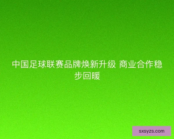 中国足球联赛品牌焕新升级 商业合作稳步回暖 中国足球联赛品牌焕新升级 商业合作稳步回暖